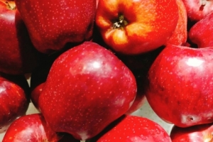 天赐宝物产全方位的健康水果—苹果
