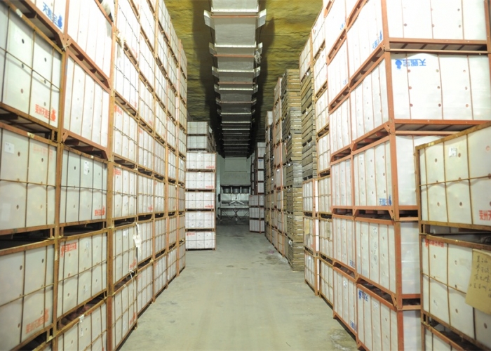 Workshop shelves