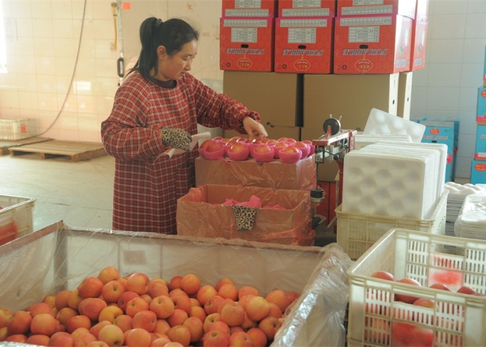 Product labeling